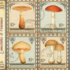 Timbres Champignons 1
